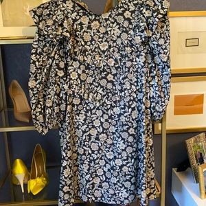 Gorgeous Zara ruffle dress worn 1x